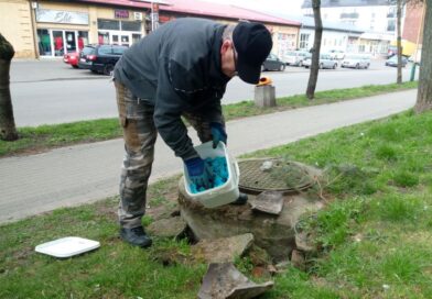 Likwidacja gryzoni Deratyzacja. Myszy szczury